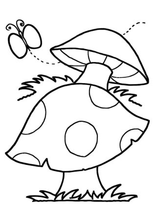 Раскраски грибы для детей 4-5 лет