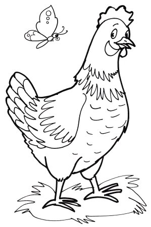 Курочка раскраска для детей
