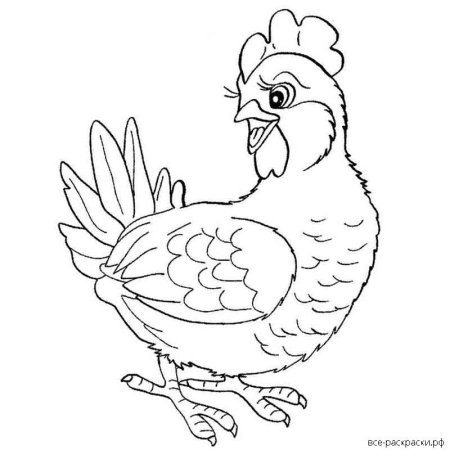 Курочка раскраска для детей