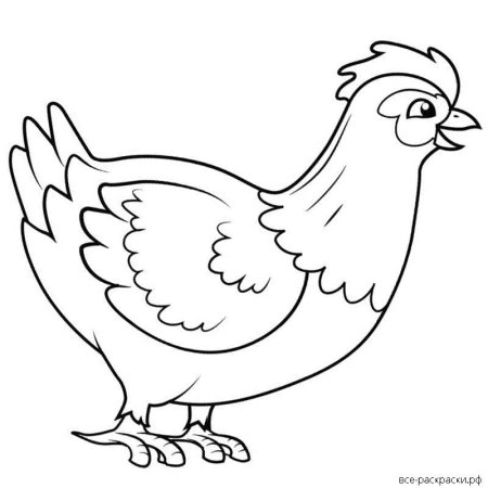 Курочка раскраска для детей 3-4 лет