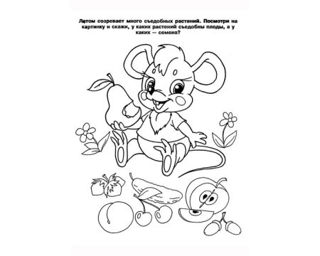 Раскраски для детей 5 лет развивающие