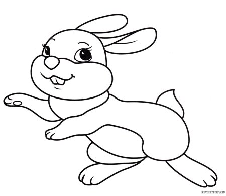 Раскраска зайчик