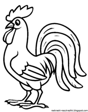 Курица и петух - раскраска
