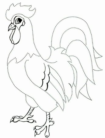 Домашние птицы. Раскраска