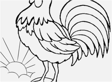 Петух раскраска для детей