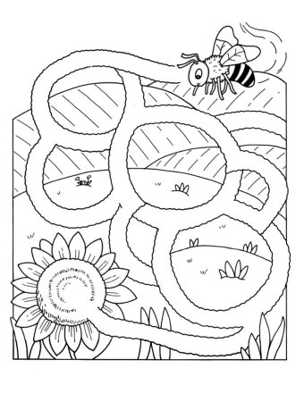 Лабиринт для дошкольников 3-4 лет