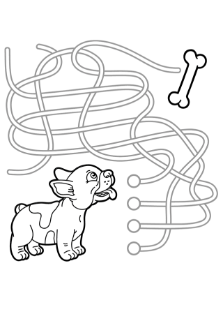 Для детей 5 лет развивающие задания лабиринты