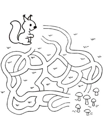 Задание Лабиринт для детей 4-5 лет