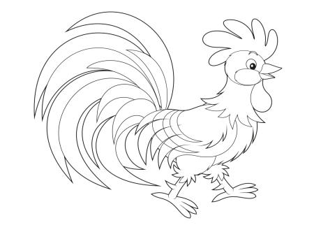 Петушок раскраска для детей