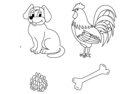 Петушок золотой гребешок раскраска