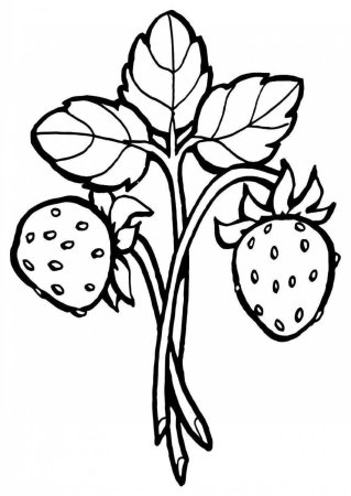 Трафарет ягоды