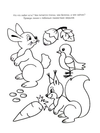 Головоломки для детей 5-6 лет