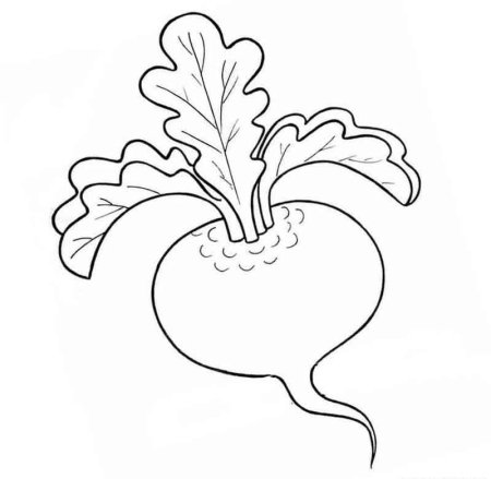 Сказки-раскраски. Репка