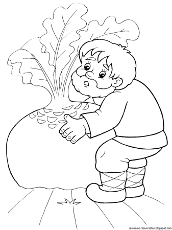Раскраски русские народные сказки Репка