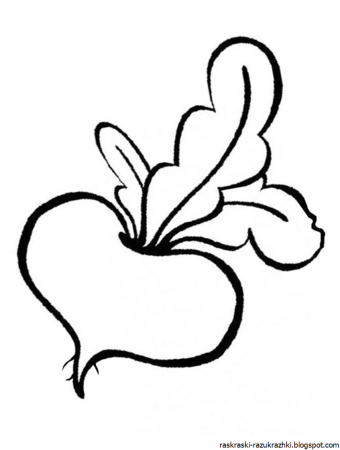 Раскраска Репка из сказки Репка