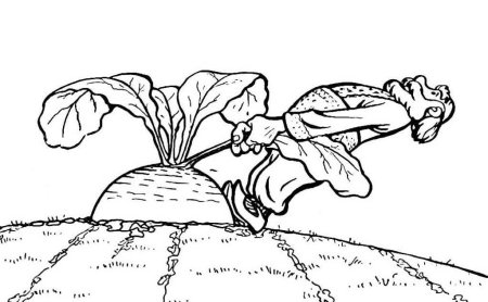 Репка раскраска для малышей