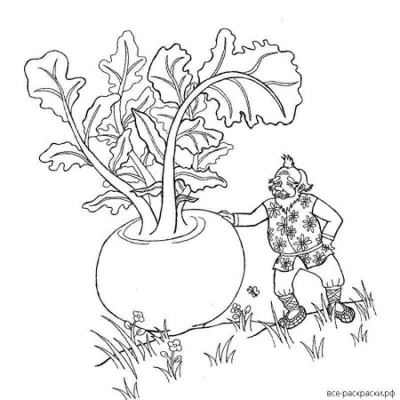 Раскраска. Репка