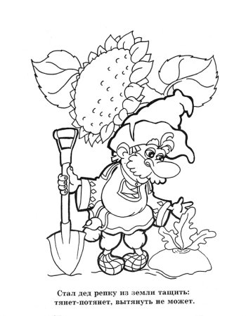 Сказки-раскраски. Репка