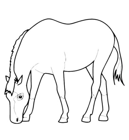 Шаблон лошадь раскраска