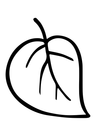 Контур листьев деревьев