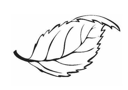 Листья раскраска для детей