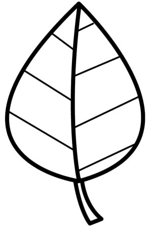 Листья раскраска