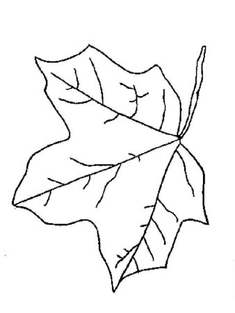 Листья раскраска для малышей