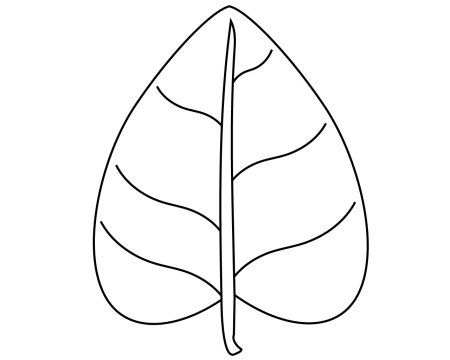 Листья деревьев раскраска