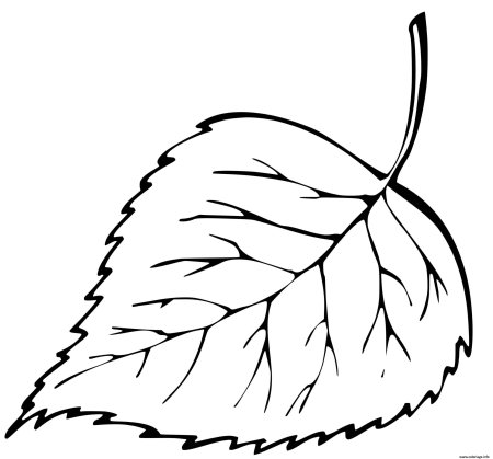 Листочки раскраска