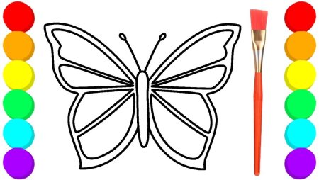 Краски и раскраски