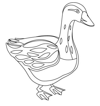 Селезень раскраска для детей