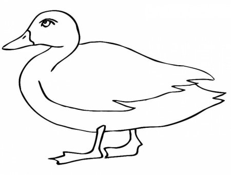 Утка раскраска