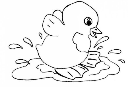 Цыпленок и утенок раскраска