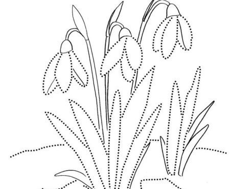 Скворечник раскраска для детей