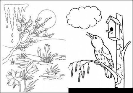 Подснежник раскраска