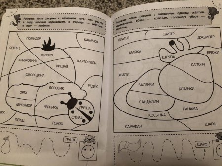 Алла Волох раскраска-тренажер для детей 5-6 лет