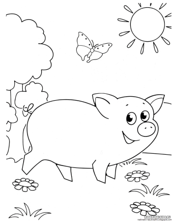 Свинья раскраска для детей