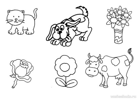 Развивашки для детей 4-5 лет животные
