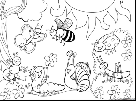 Насекомые. Раскраска