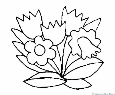 Раскраска цветочек