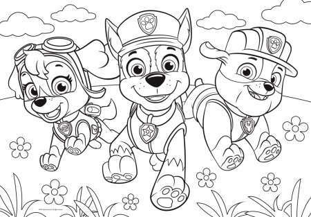 Раскраски для девочек 5 лет Щенячий патруль