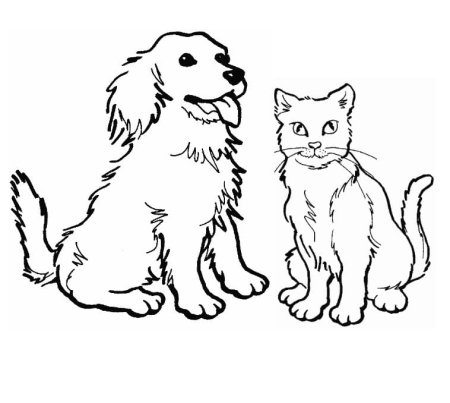 Раскраска кошечки собачки