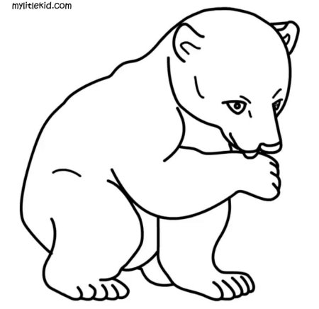 Мишка косолапый раскраска