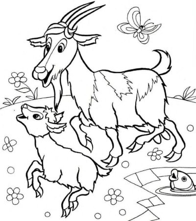 Домашние животные раскраска для детей