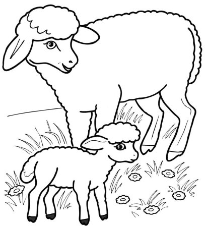 Овечка раскраска