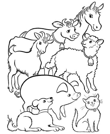 Раскраска животные на ферме