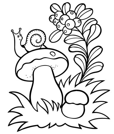 Раскраски для детей