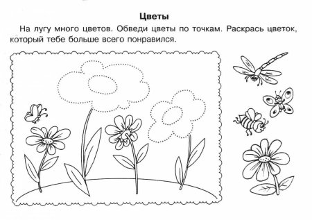 Цветы задания для дошкольников