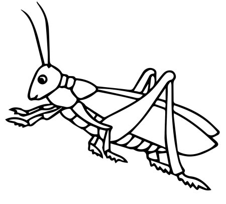 Кузнечик рисунок