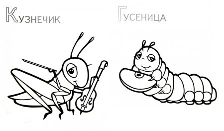 Насекомые для раскрашивания